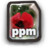 PPM Icon
